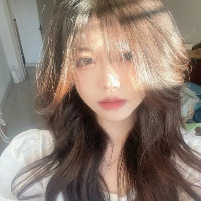 哈莱姆的郁金香