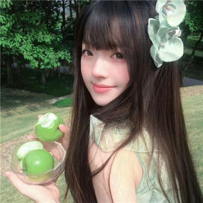 刑事7人 第五季
